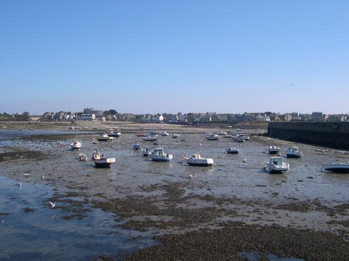  petits bateaux à marée basse